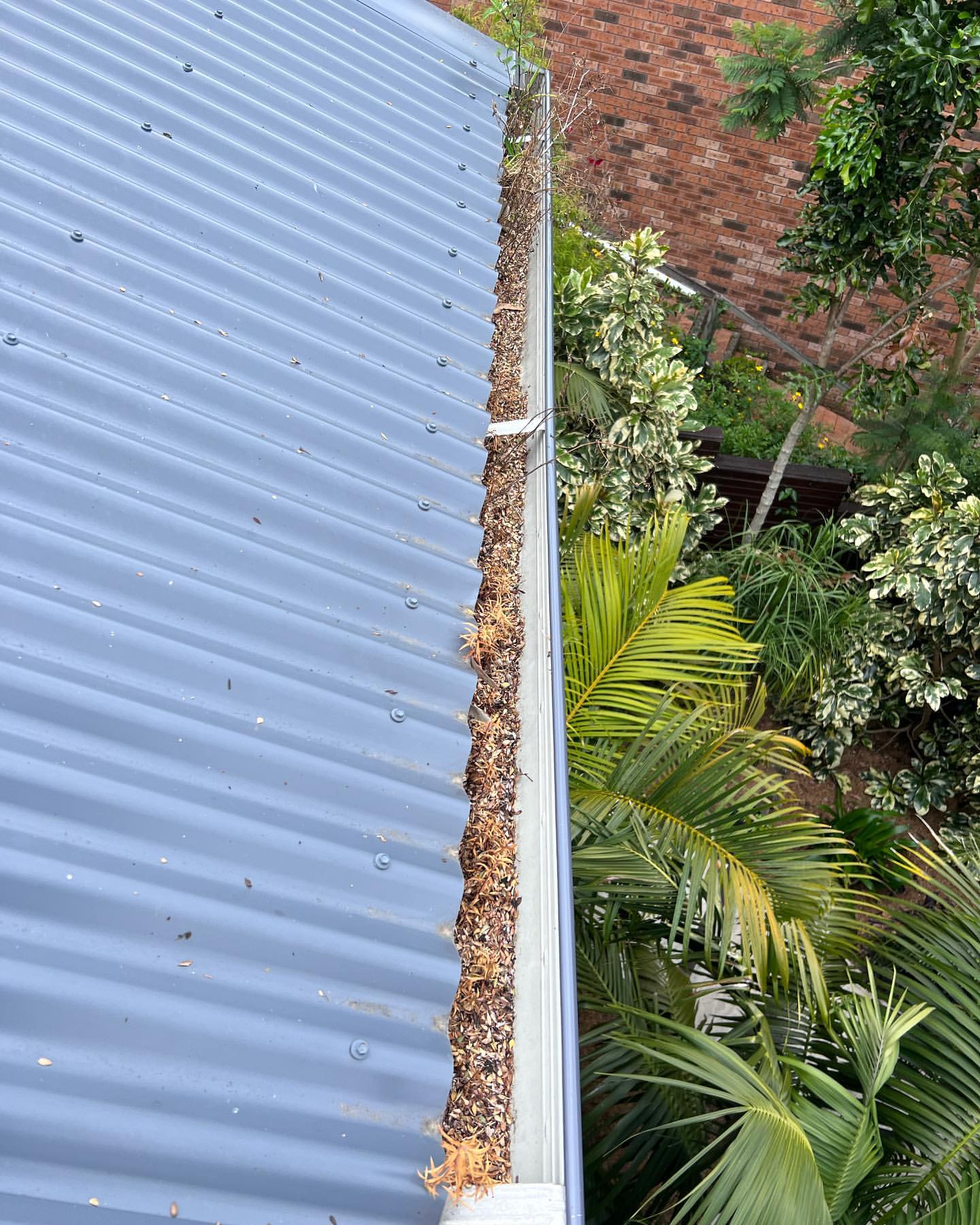 Roof Cleaning & Maintenance