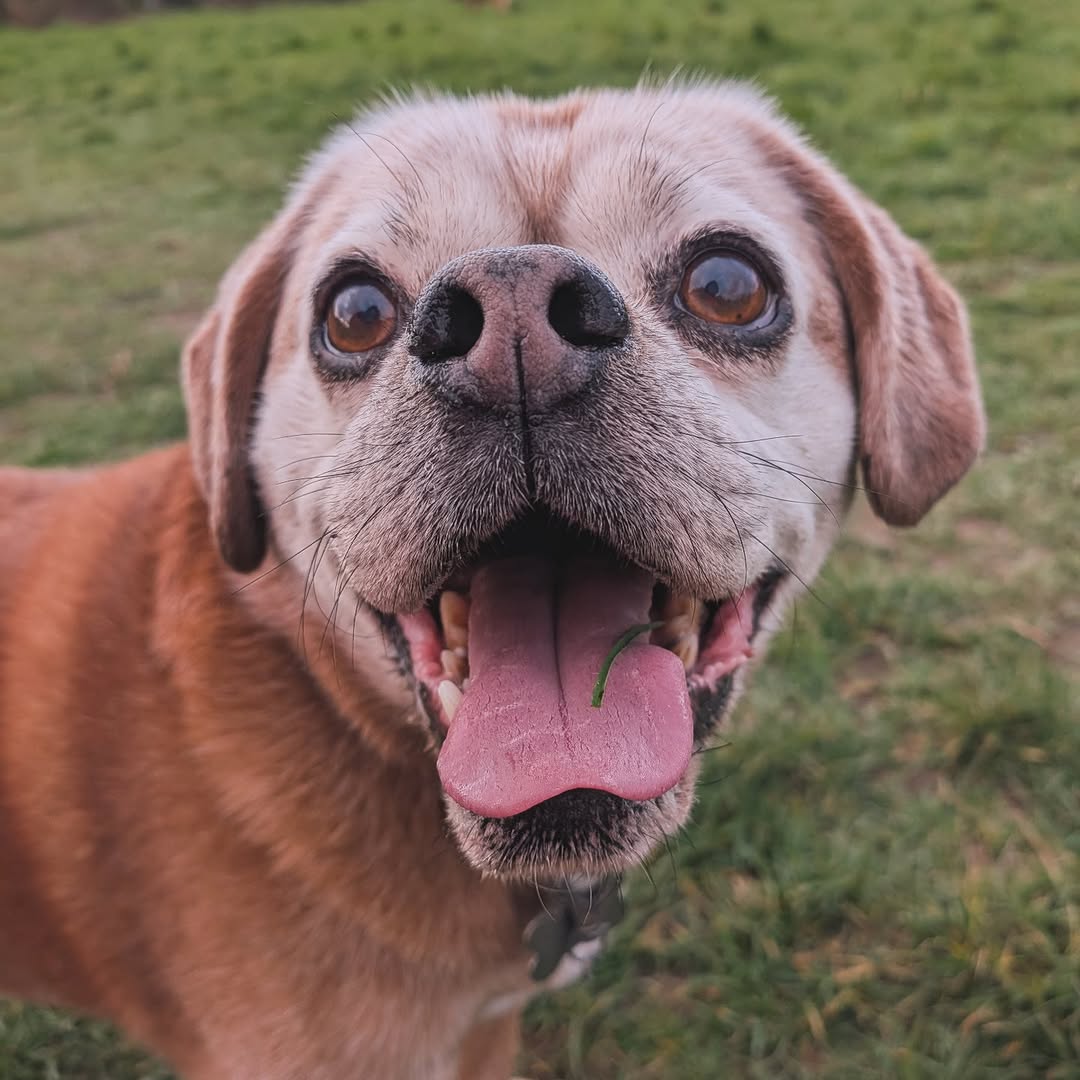 Solo Walking Sessions