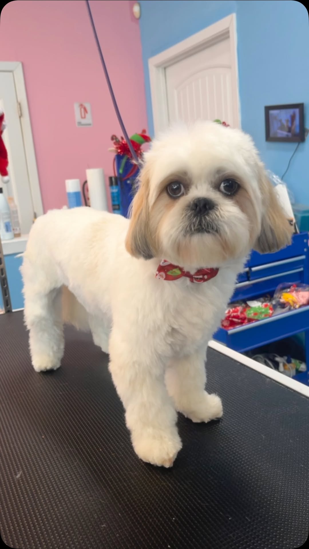 Mobile Service to Your Home