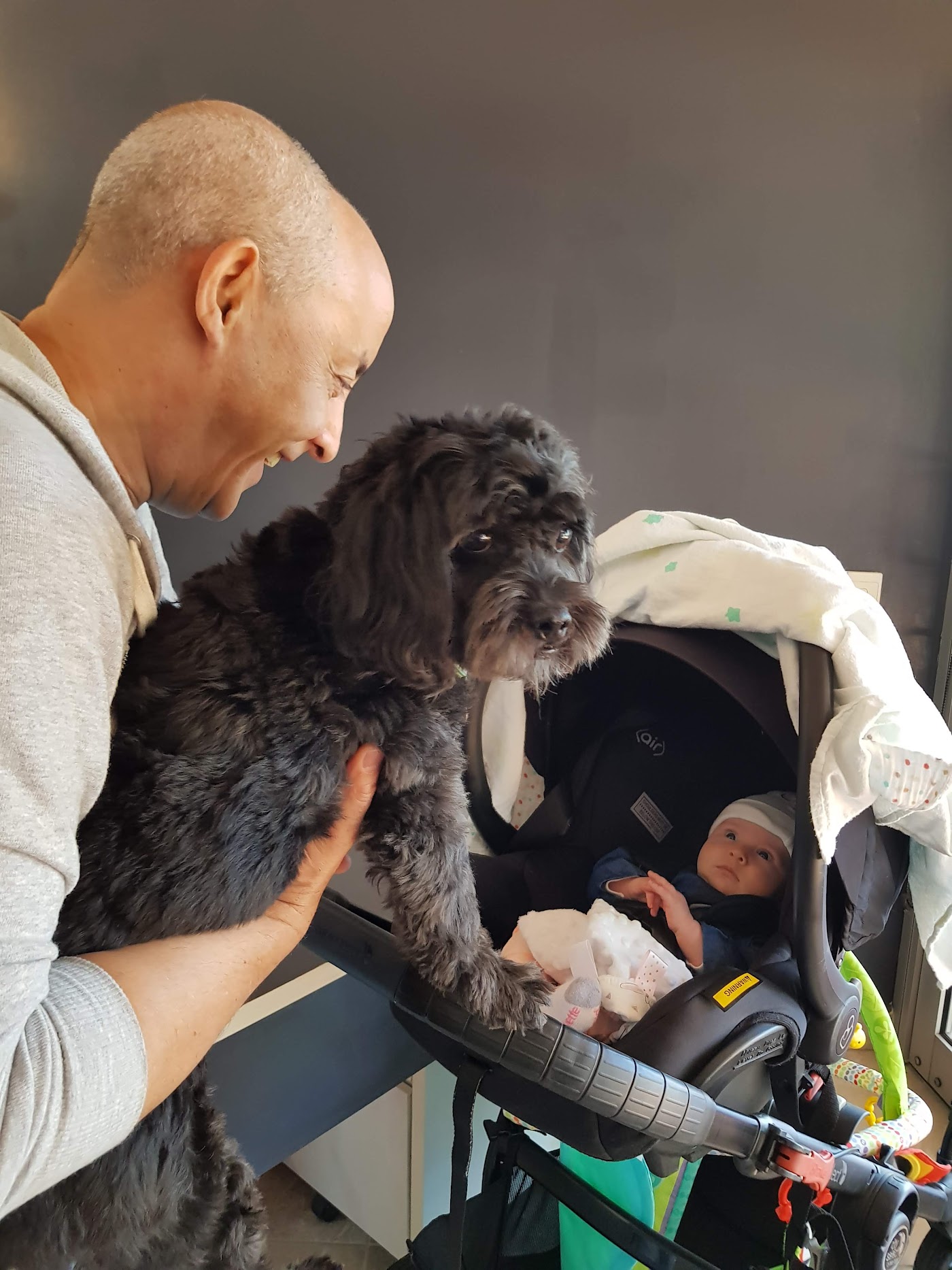 Colour Specialisation