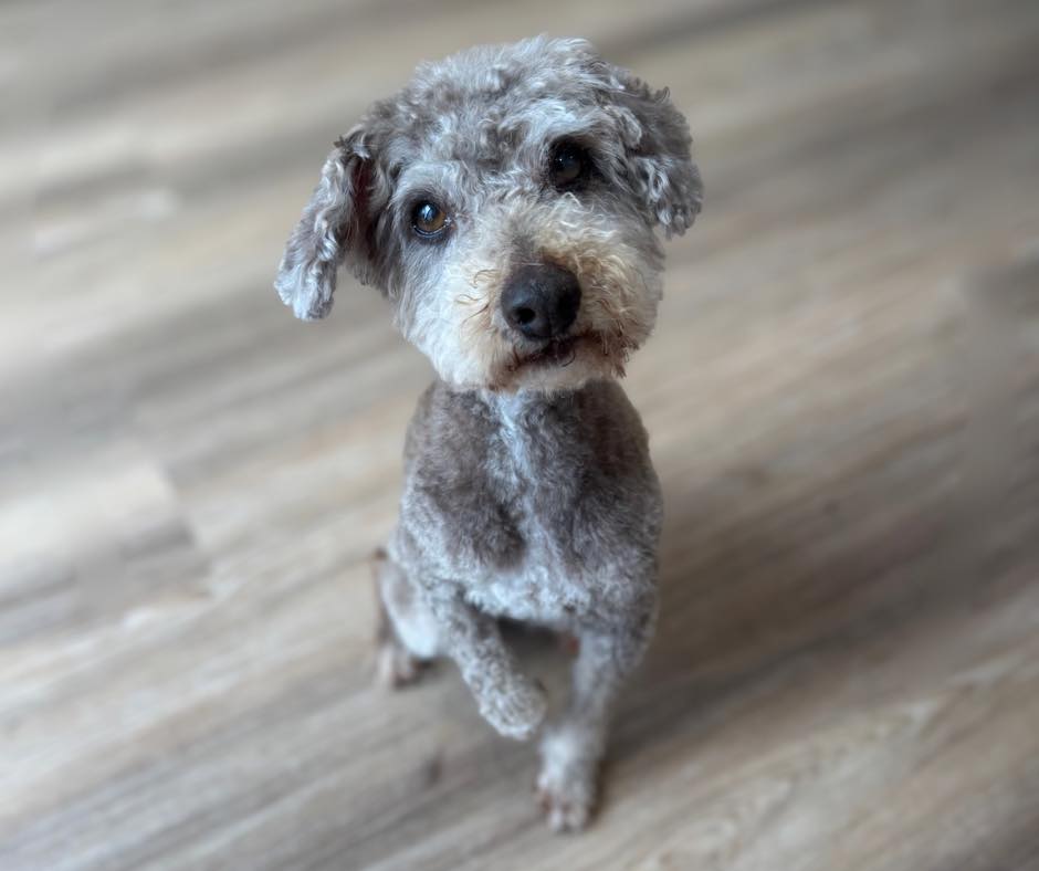 Hand Bathing and Drying