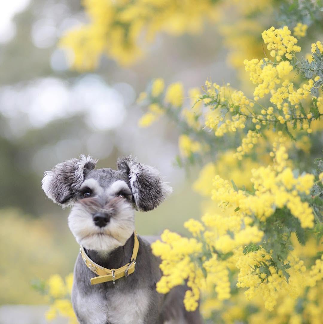 Wash and Dry Services