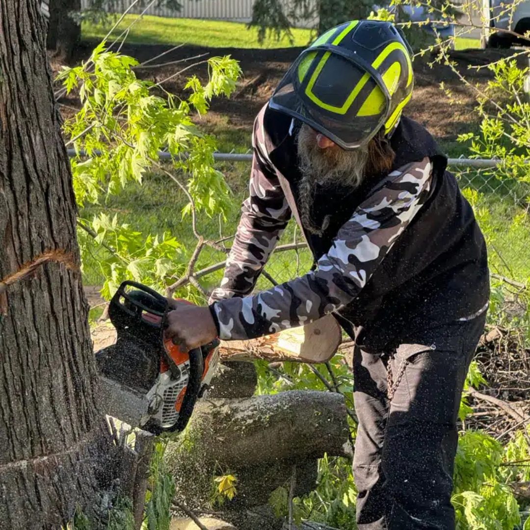 Storm Cleanup