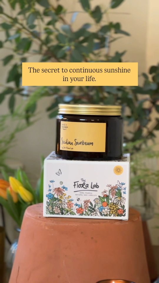 Wedding Day Delivery