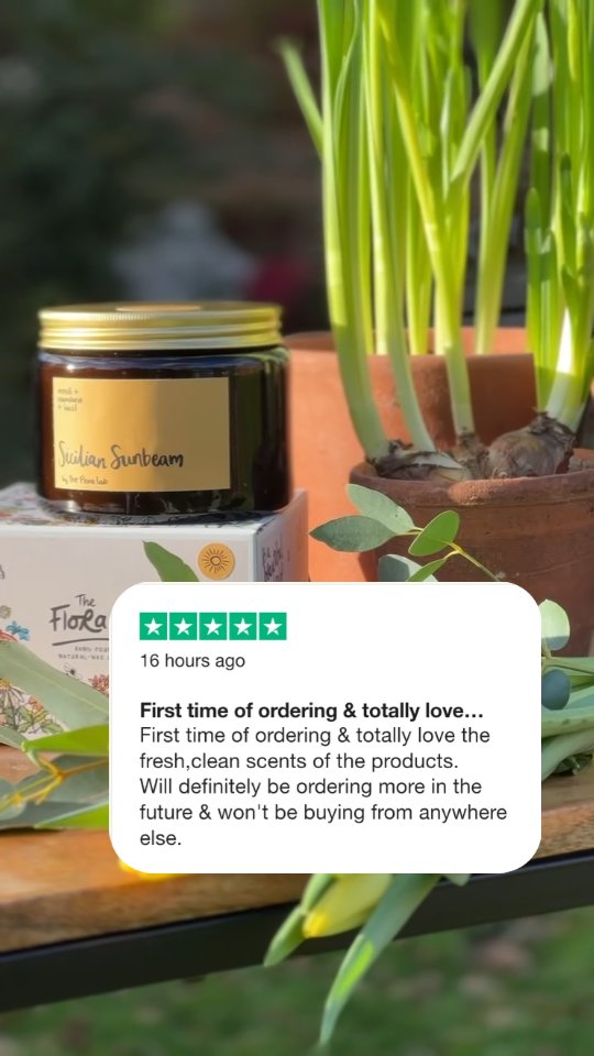 Dried Flower Arrangements