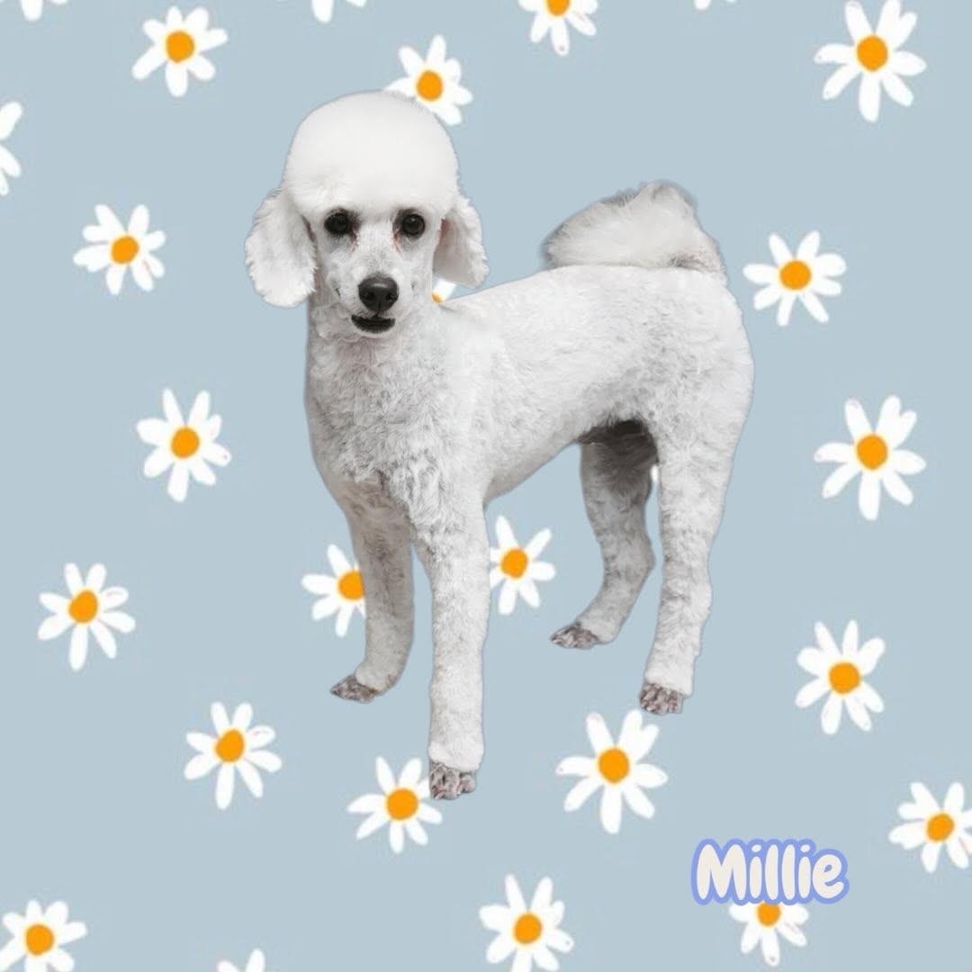 Hand stripping and detail work