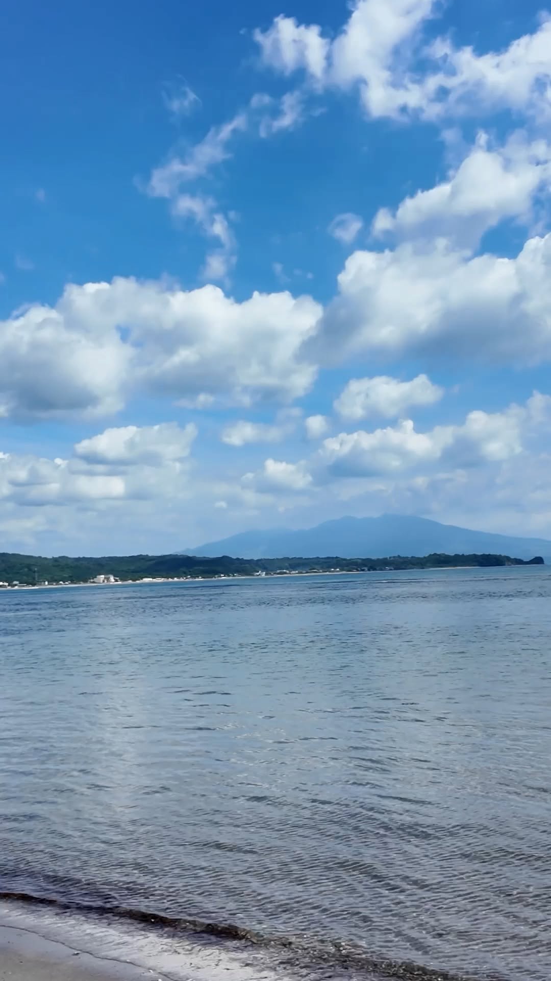 Mobile spray tan service