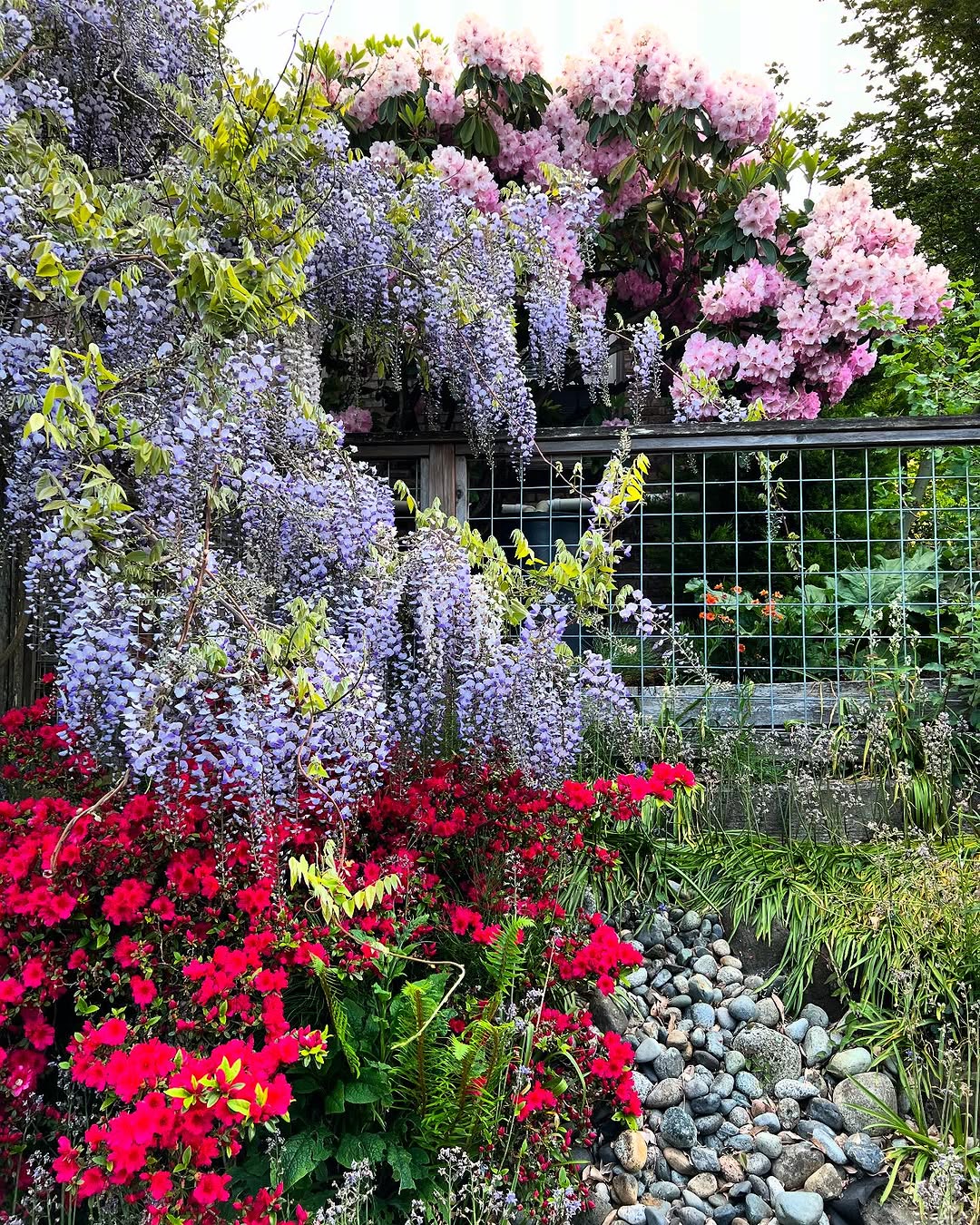 Nutrition Consultations