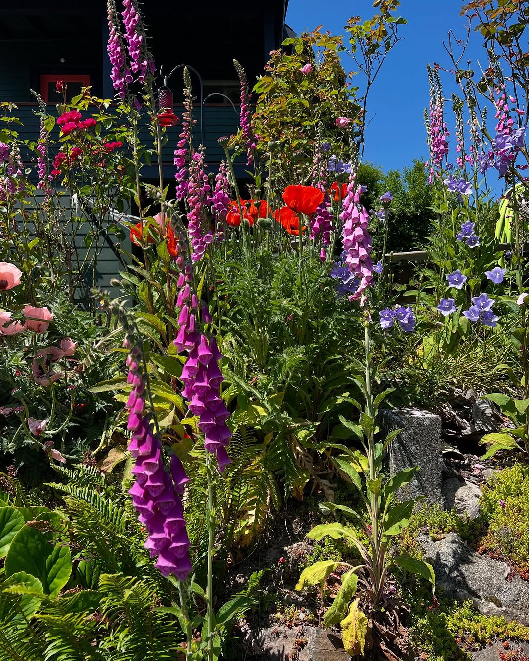 Health & Wellness Coaching