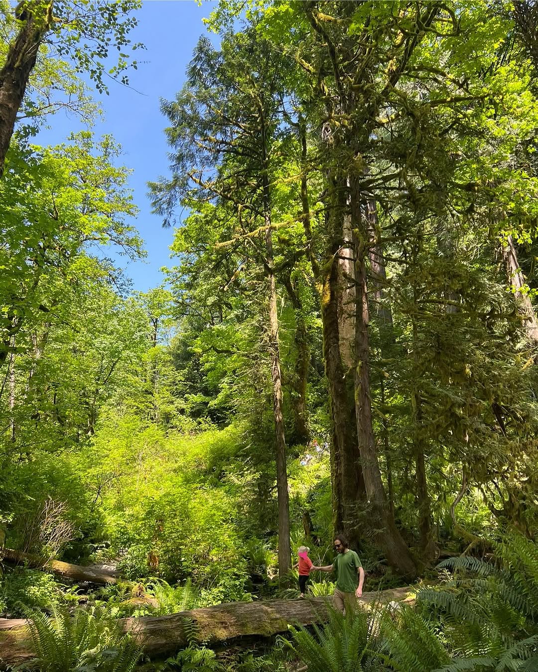 Corporate Wellness Programs