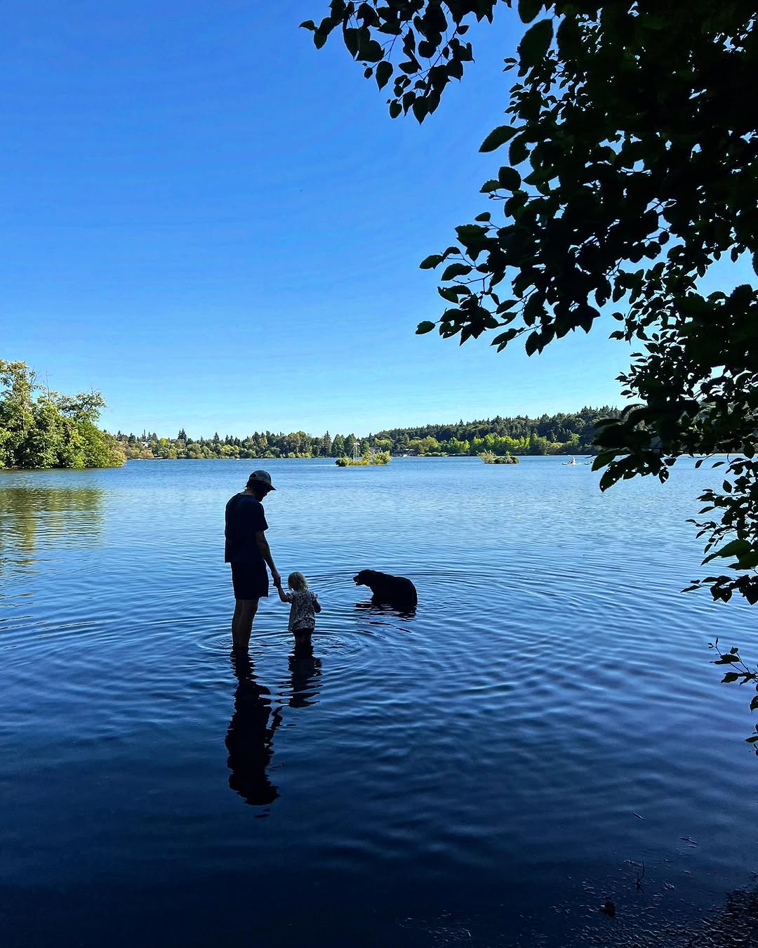 Family Nutrition Support