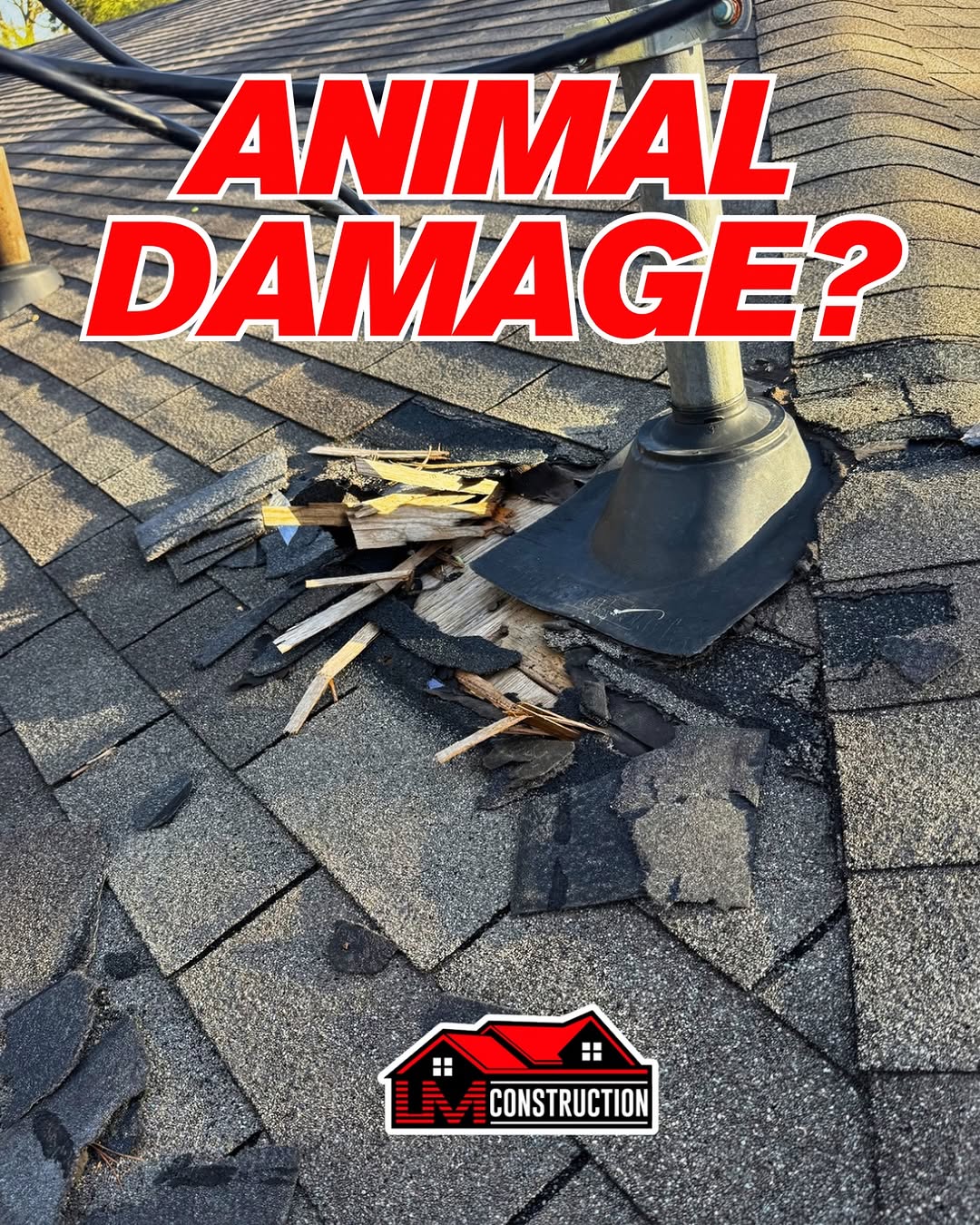 Gutter Installation and Cleaning