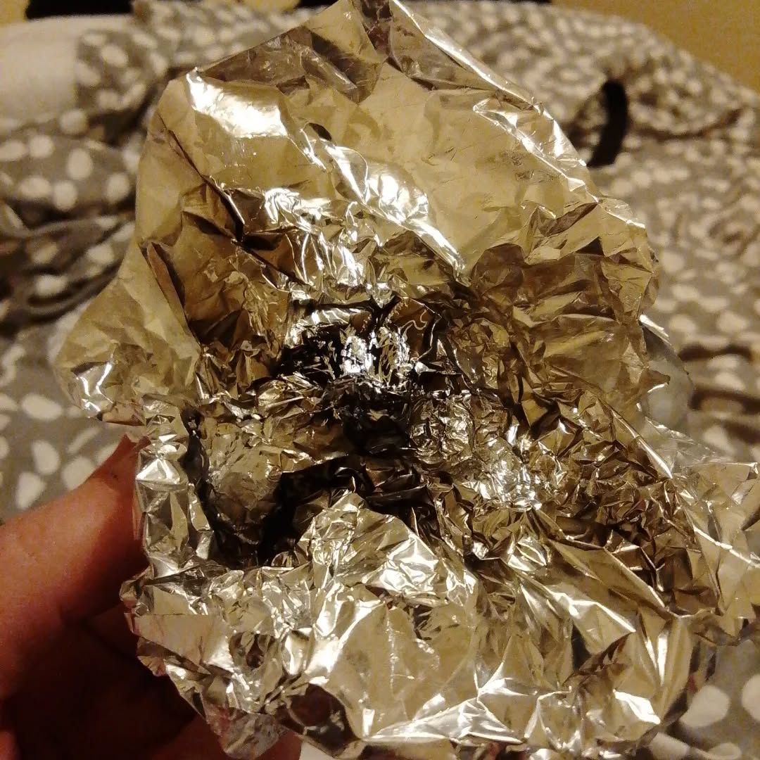 Multi-pet photography