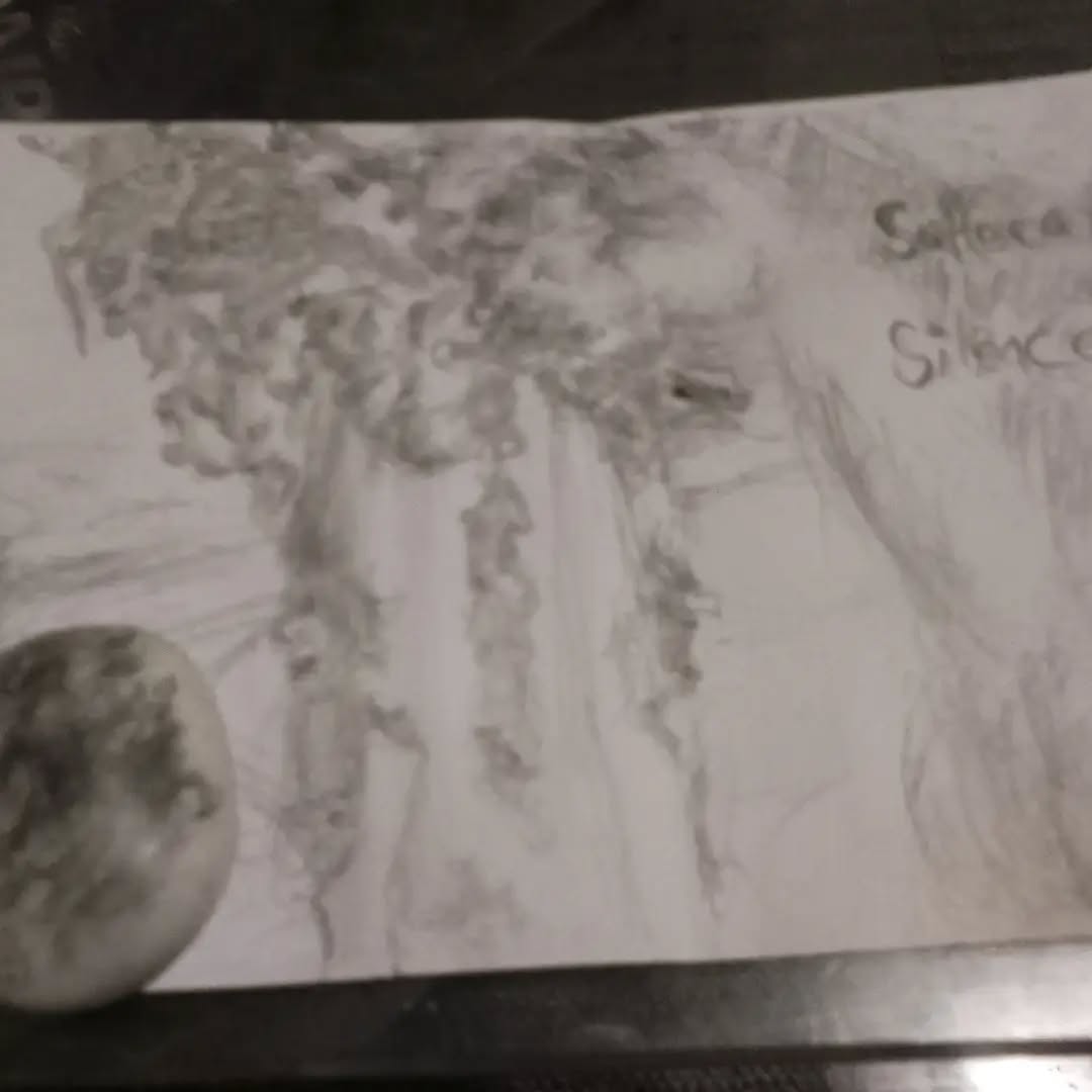 Pet portrait packages