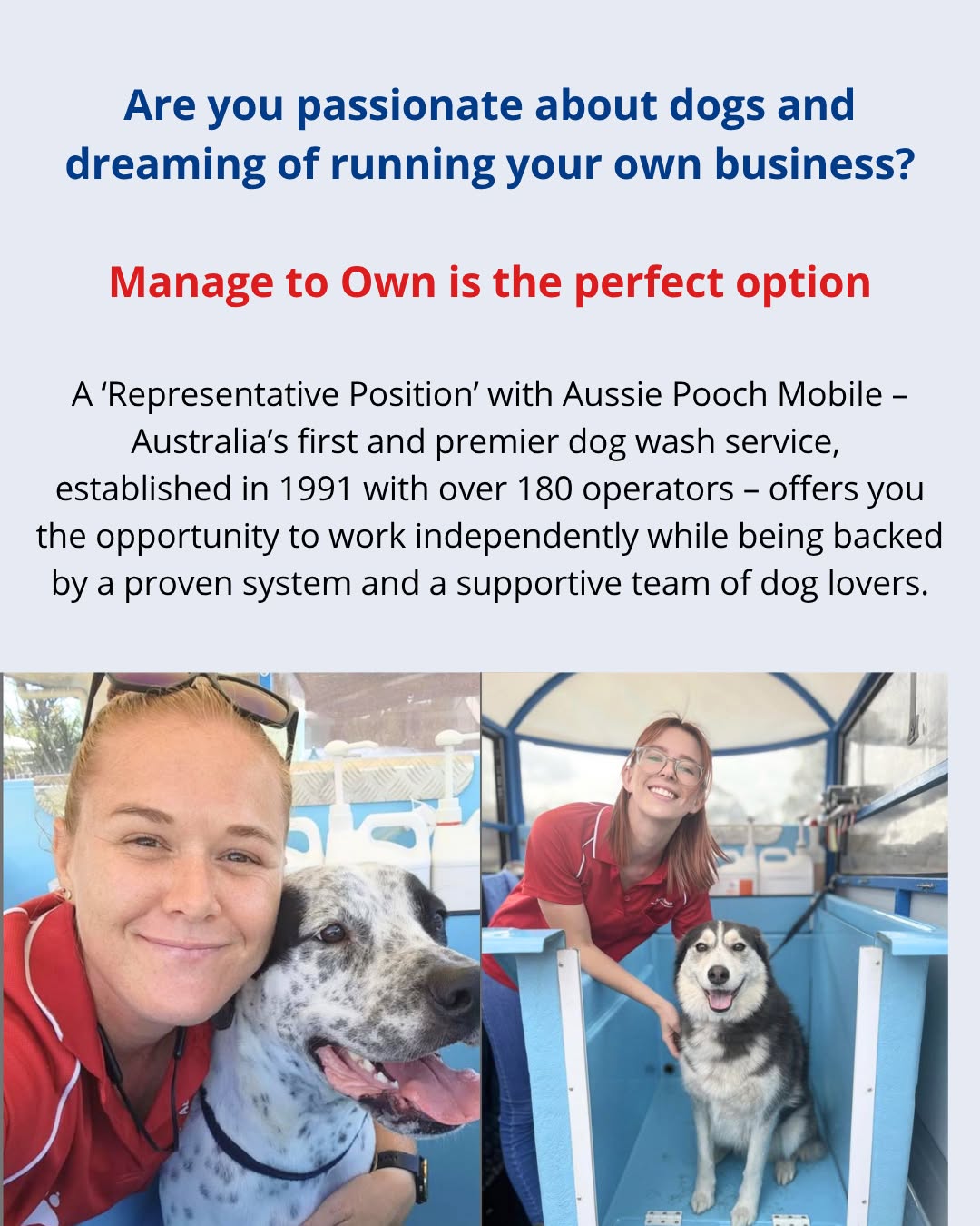 Mobile Grooming Packages