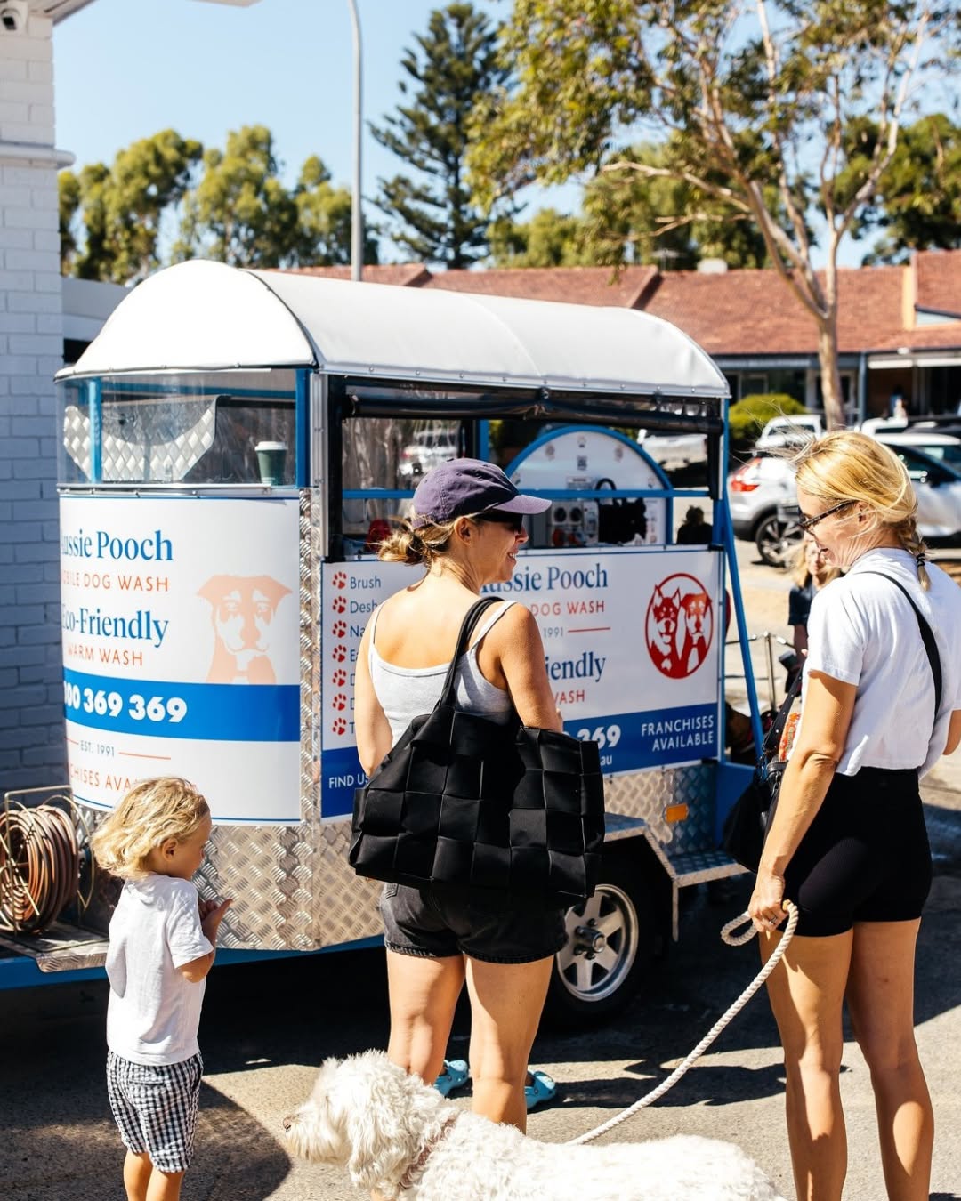 Anxious Dog Grooming