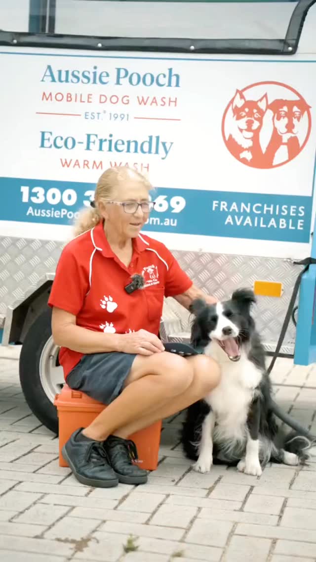 Nail Trim and Polish