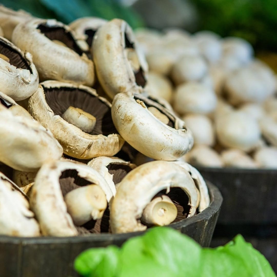 Electrical Fan Installation