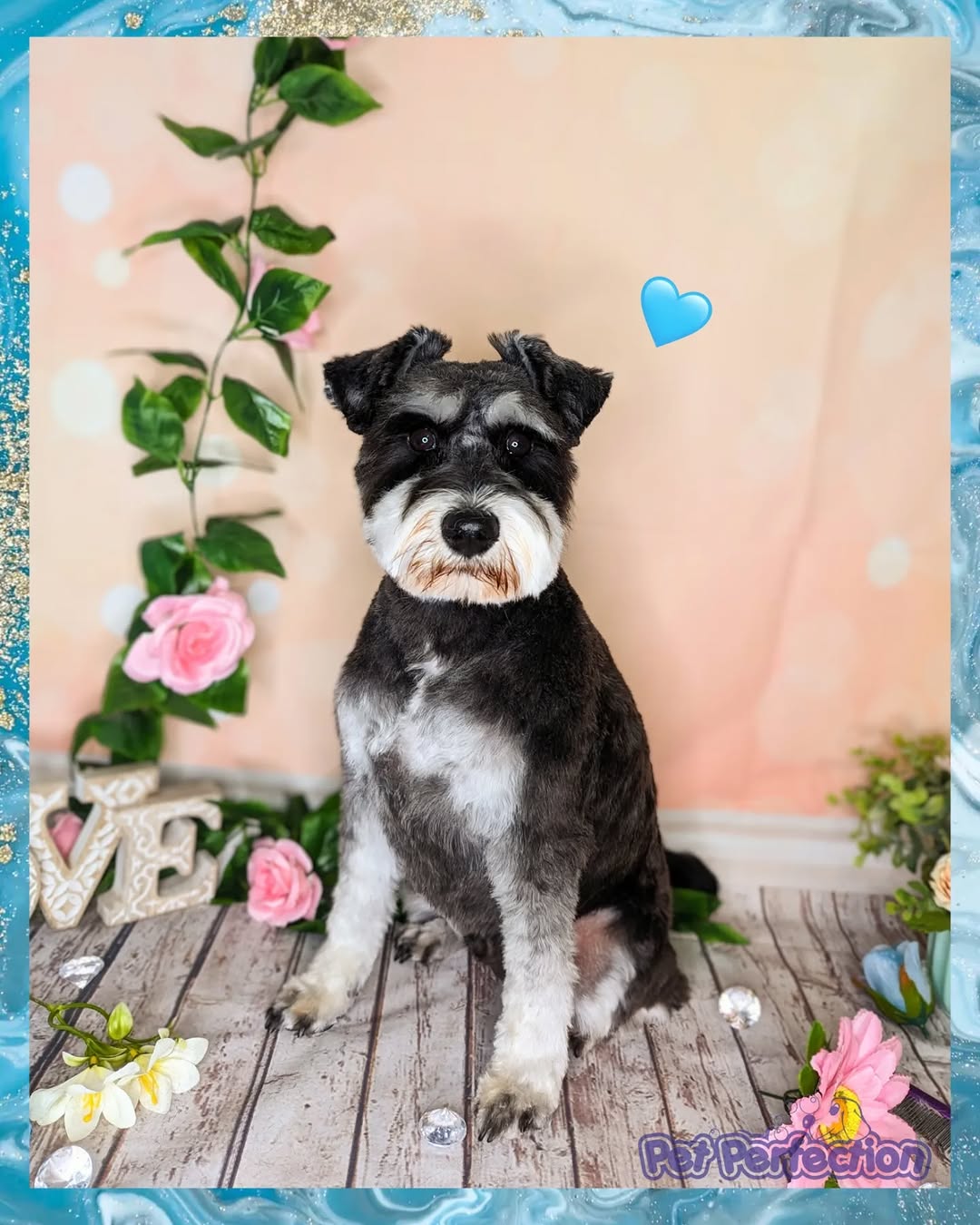 Breed-Specific Styling