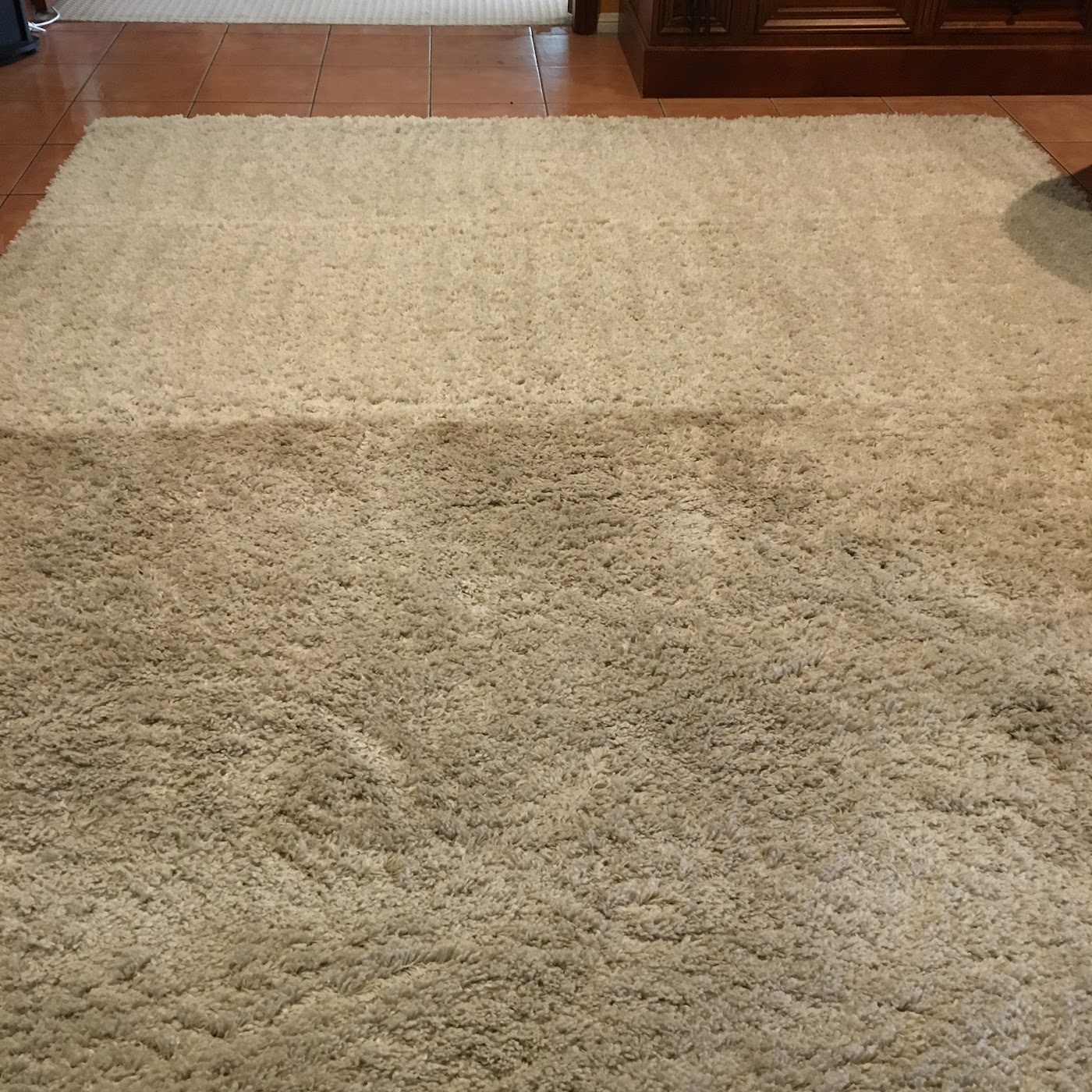 Carpet Steam Cleaning