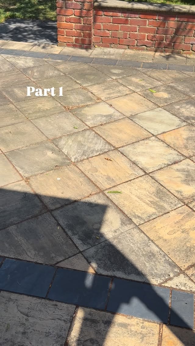 Tile and Grout Cleaning