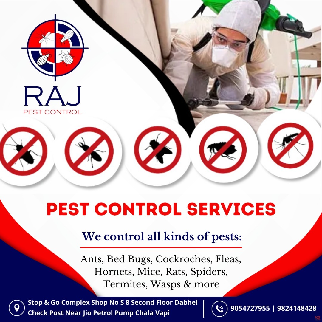 Termite Inspections