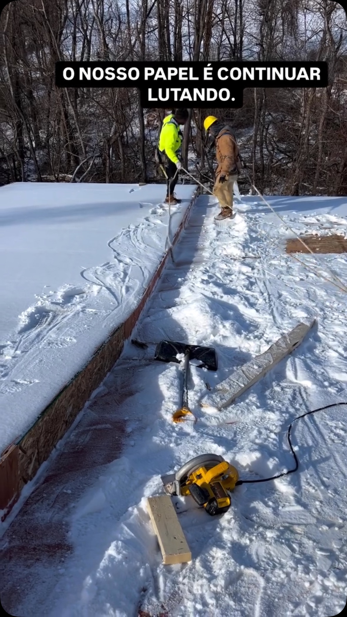 Roof Repairs