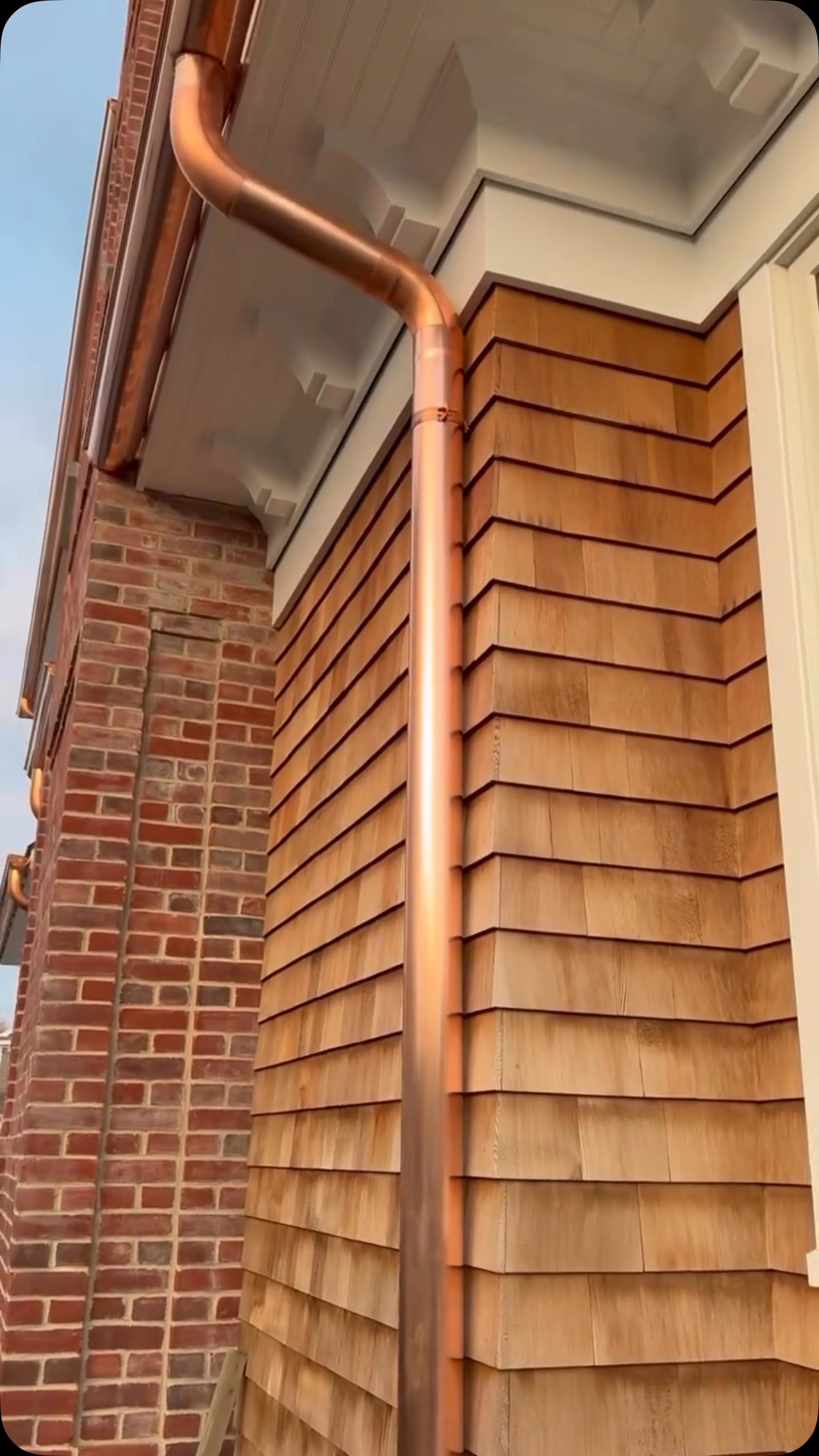 Gutter & Maintenance