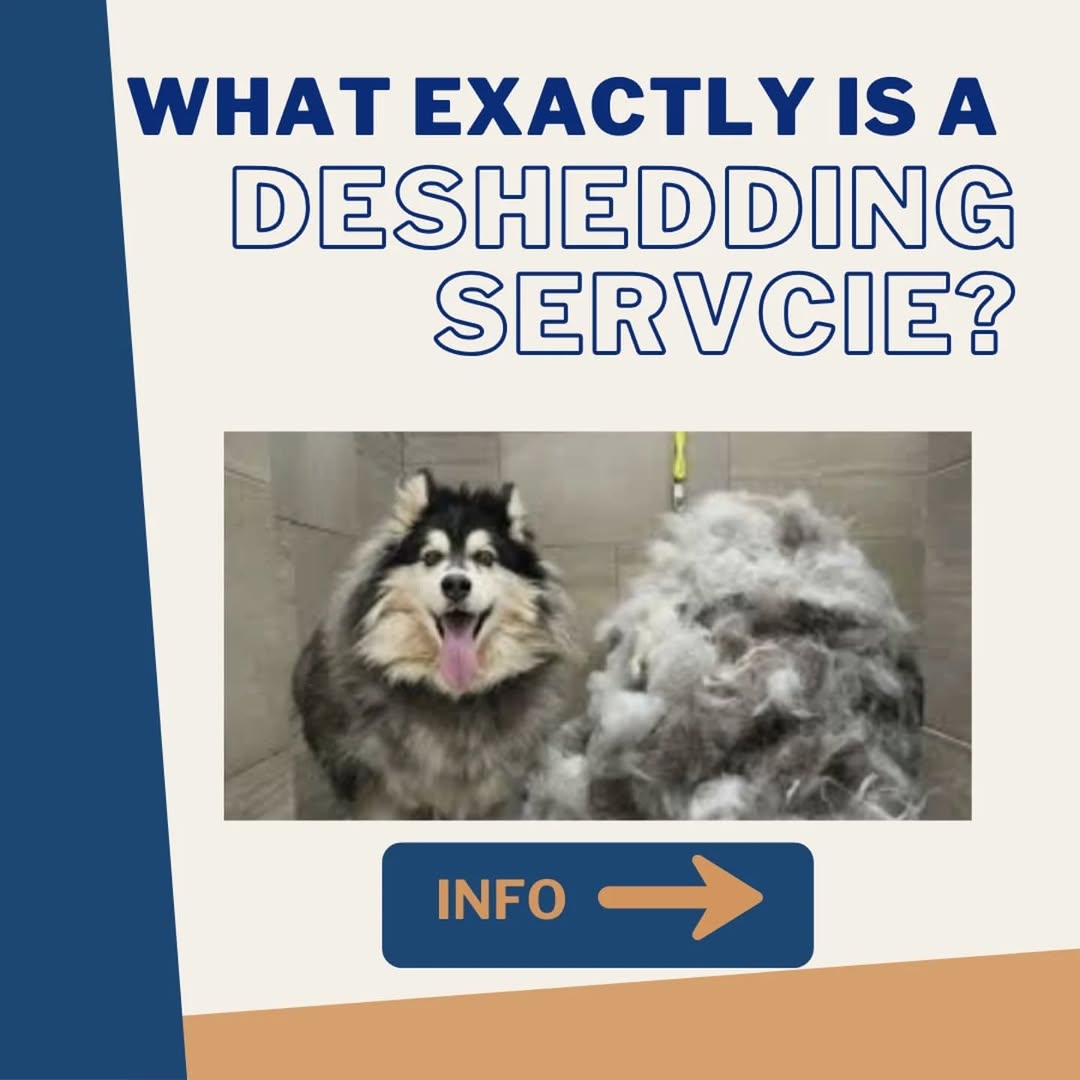 Grooming Brush Sales