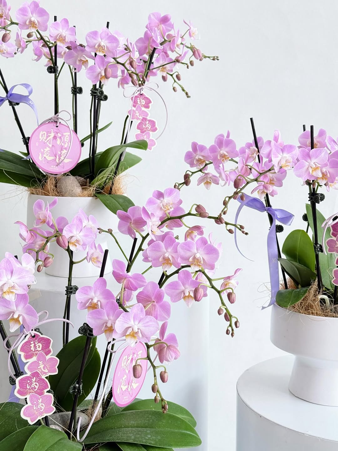 Wedding Ceremony Design