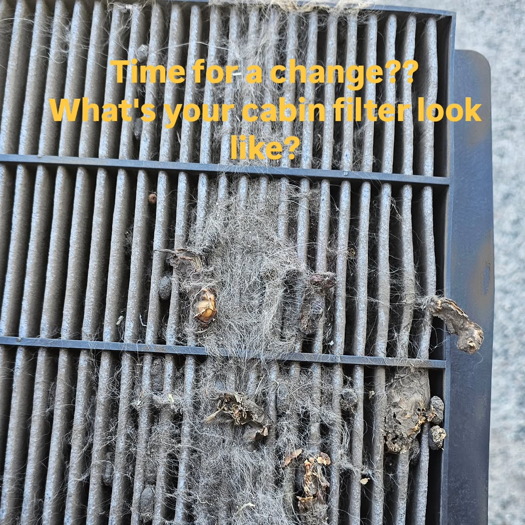 Mobile service on site