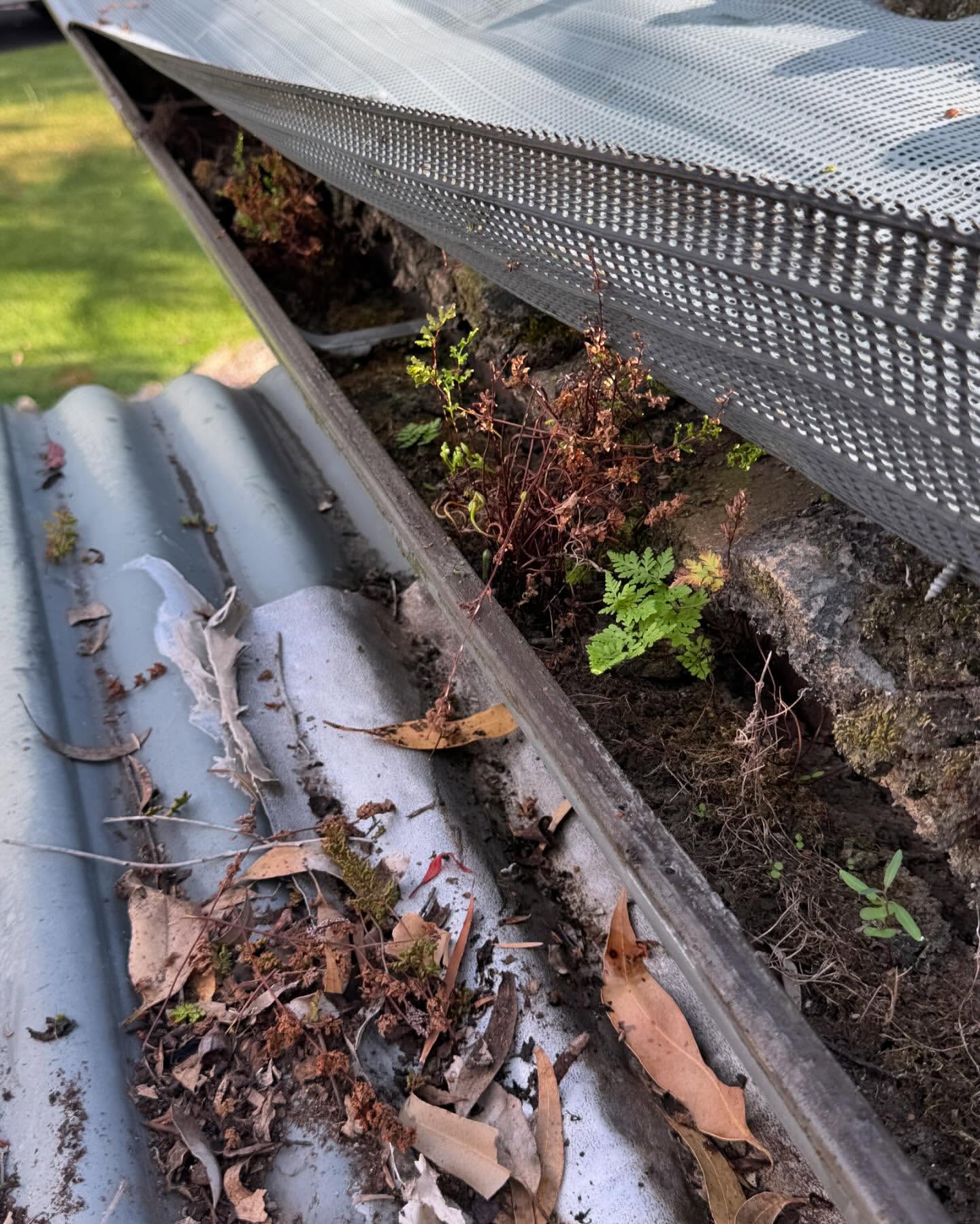 Gutter Replacement