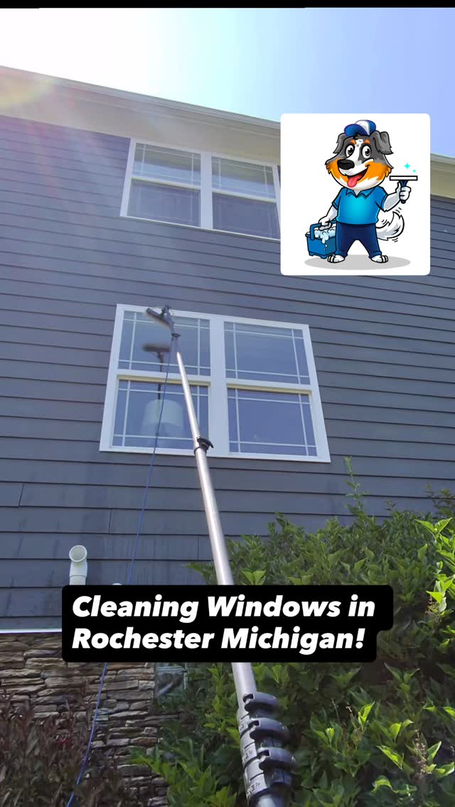 Commercial Window Cleaning