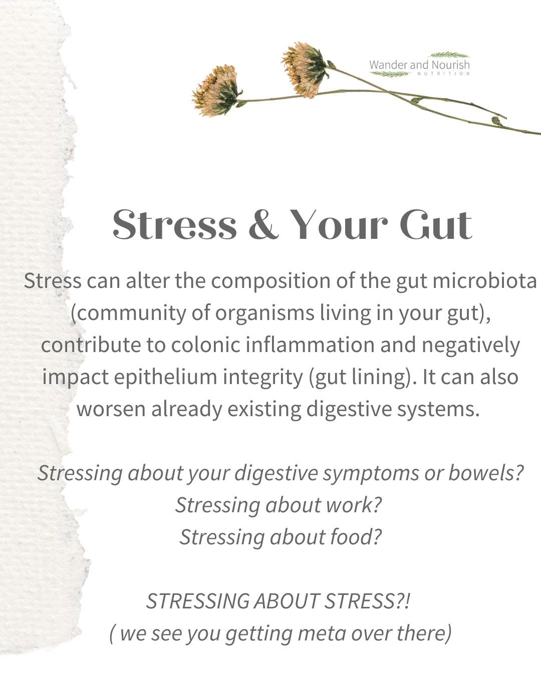 Telehealth appointments