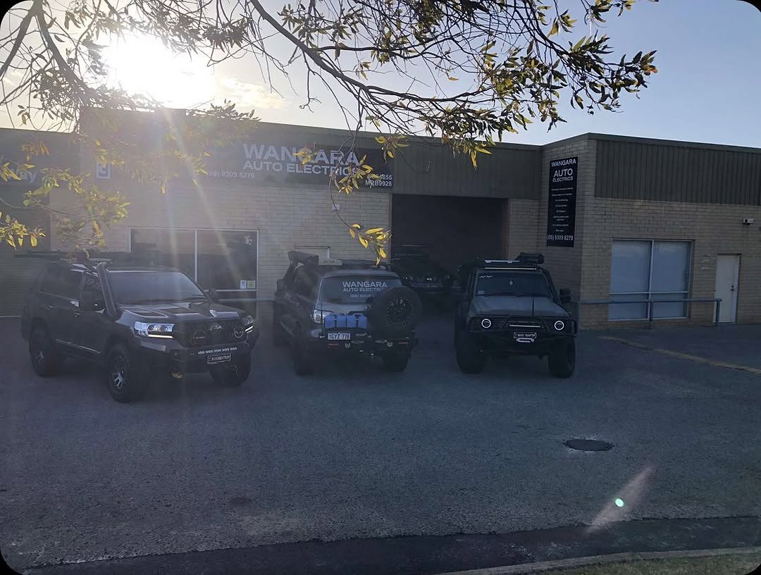 Vehicle electrics diagnosis