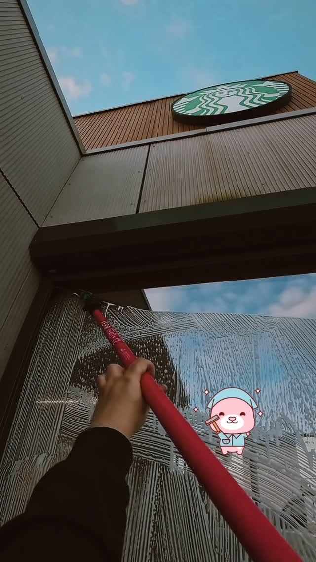 Pet-Safe Window Cleaning